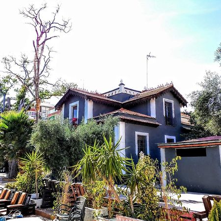 Nwt Paradise Urban Hostel Alicante Eksteriør billede