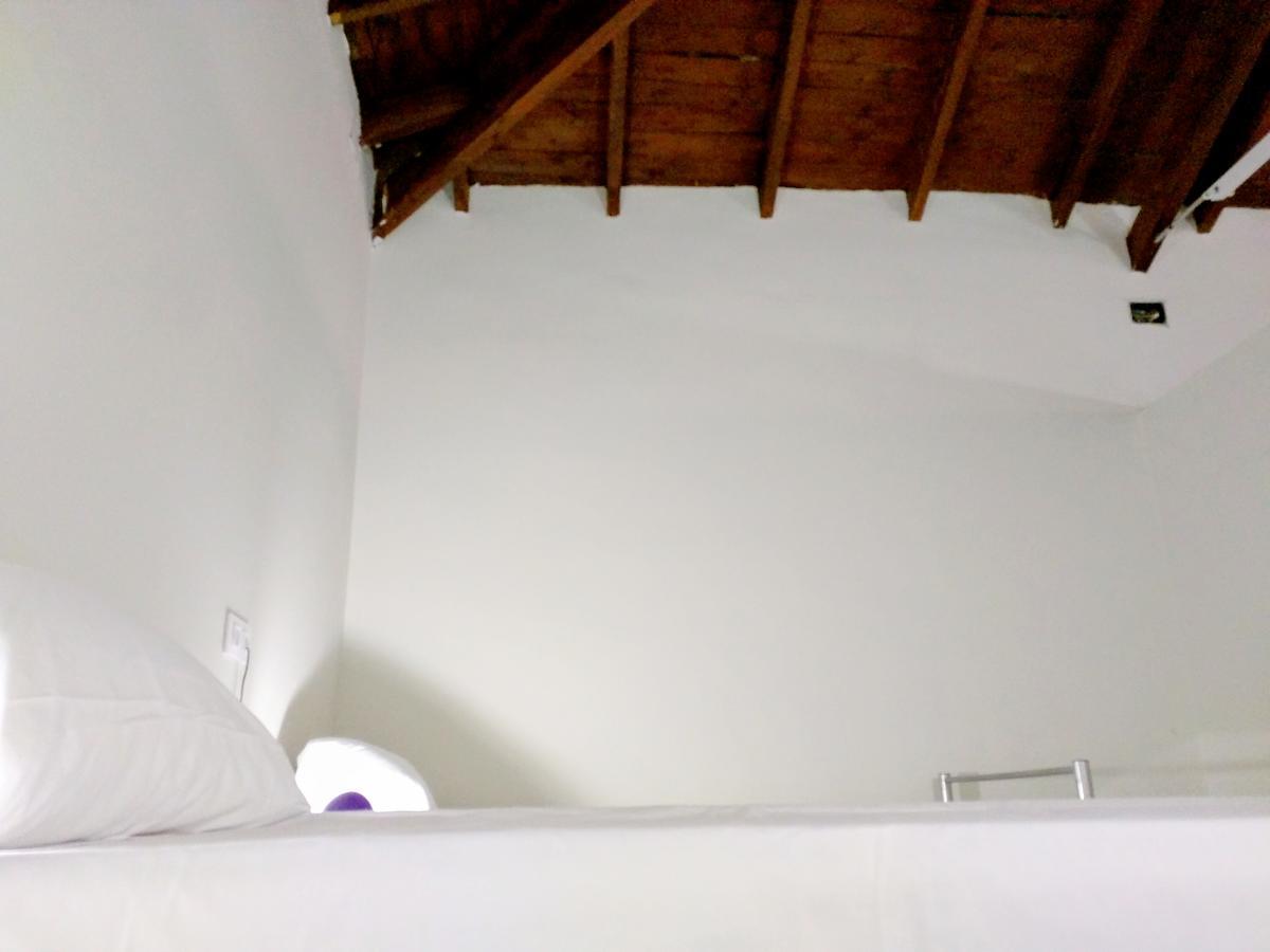 Nwt Paradise Urban Hostel Alicante Eksteriør billede